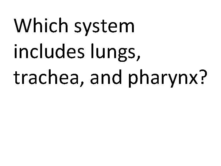 Which system includes lungs, trachea, and pharynx? 