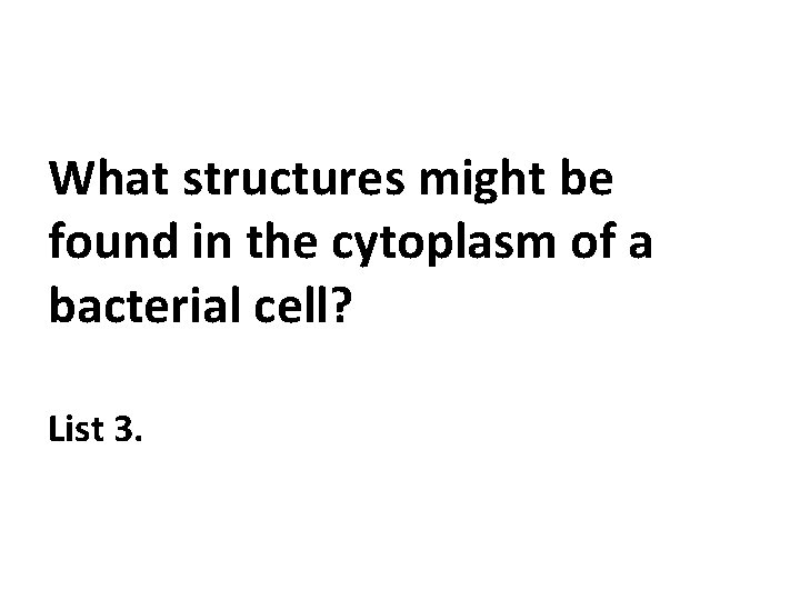 What structures might be found in the cytoplasm of a bacterial cell? List 3.