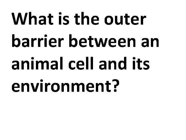 What is the outer barrier between an animal cell and its environment? 