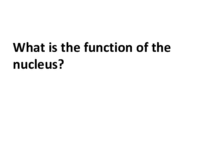 What is the function of the nucleus? 