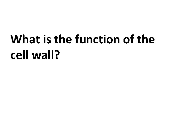 What is the function of the cell wall? 