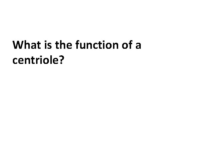 What is the function of a centriole? 