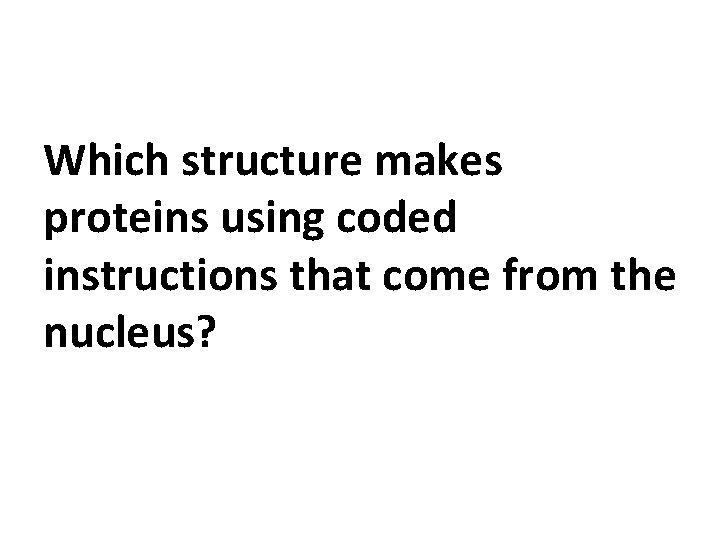 Which structure makes proteins using coded instructions that come from the nucleus? 