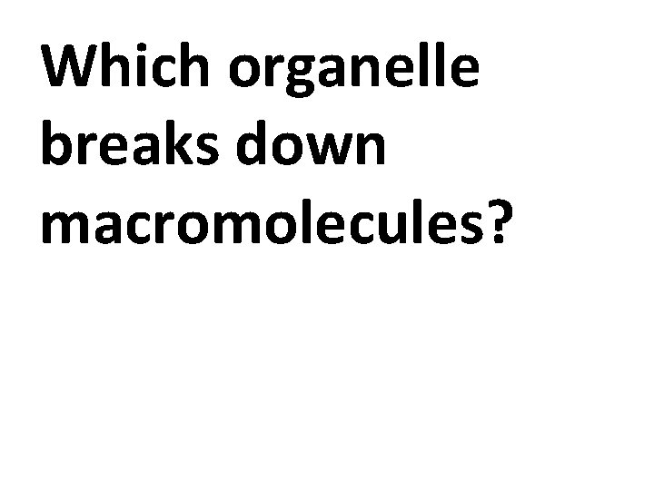 Which organelle breaks down macromolecules? 