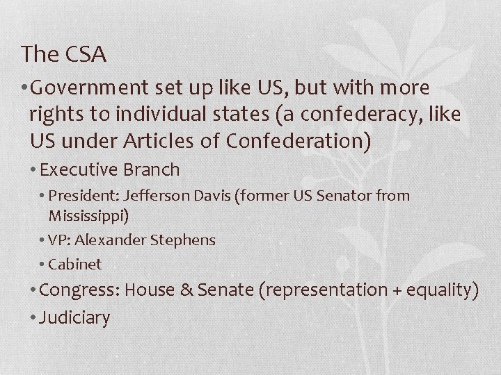 The CSA • Government set up like US, but with more rights to individual