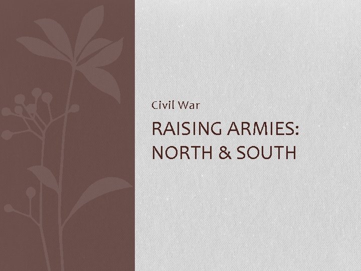 Civil War RAISING ARMIES: NORTH & SOUTH 