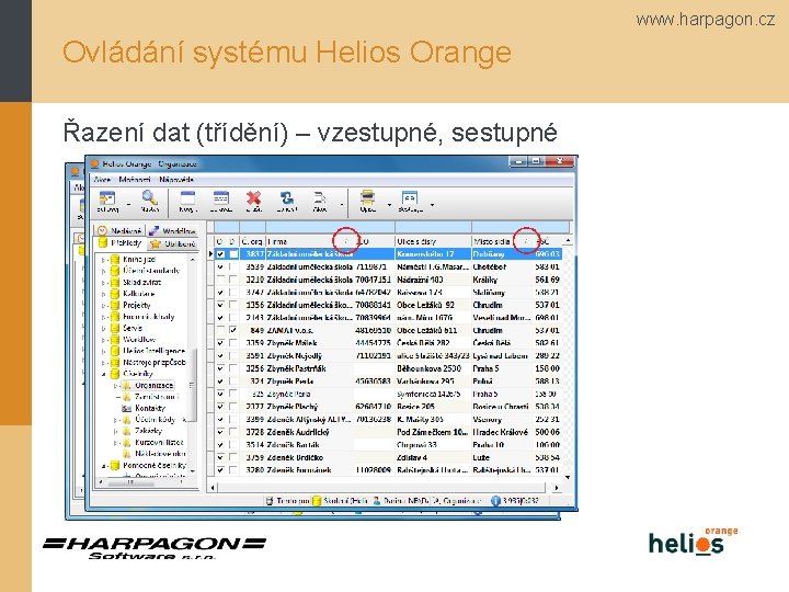 www. harpagon. cz Ovládání systému Helios Orange Řazení dat (třídění) – vzestupné, sestupné 