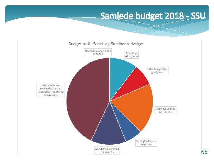 Samlede budget 2018 - SSU 