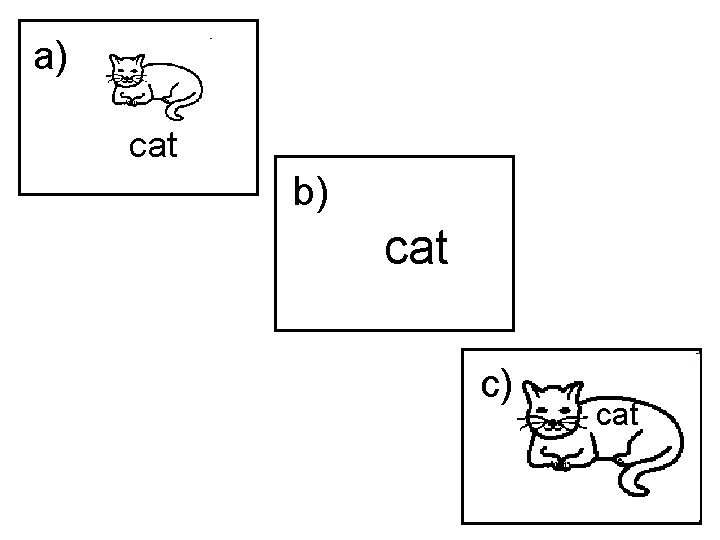 a) cat b) cat c) cat 