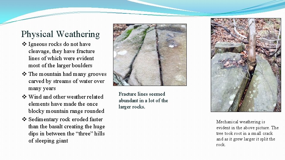 Physical Weathering v Igneous rocks do not have cleavage, they have fracture lines of