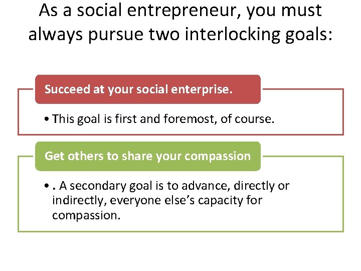 As a social entrepreneur, you must always pursue two interlocking goals: Succeed at your