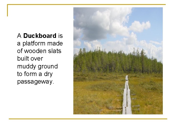 A Duckboard is a platform made of wooden slats built over muddy ground to