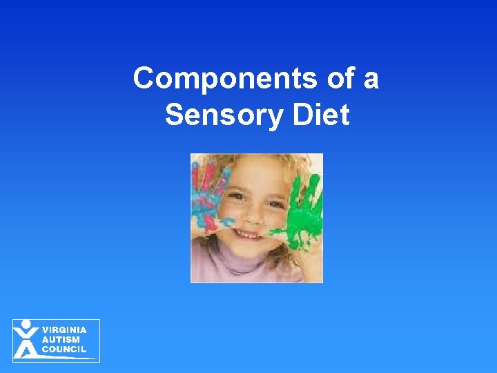 Components of a Sensory Diet 