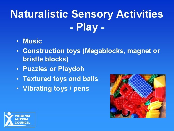 Naturalistic Sensory Activities - Play • Music • Construction toys (Megablocks, magnet or bristle