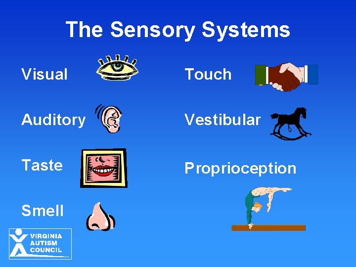 The Sensory Systems Visual Touch Auditory Vestibular Taste Proprioception Smell 