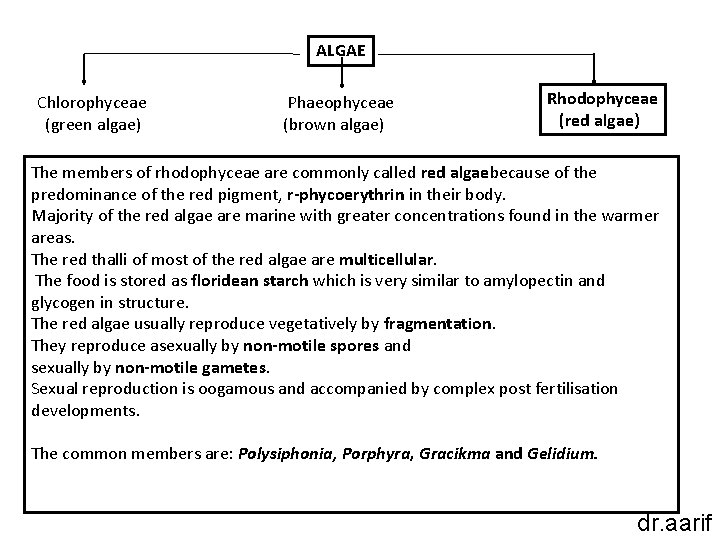 ALGAE Chlorophyceae (green algae) Phaeophyceae (brown algae) Rhodophyceae (red algae) The members of rhodophyceae