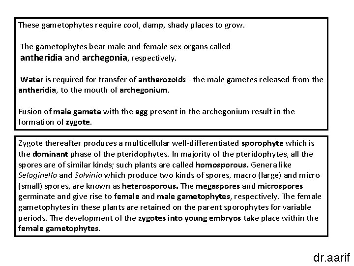 These gametophytes require cool, damp, shady places to grow. The gametophytes bear male and