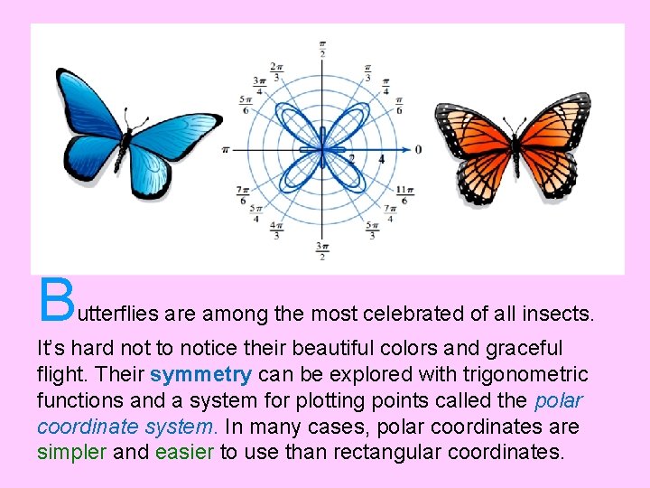 B utterflies are among the most celebrated of all insects. It’s hard not to