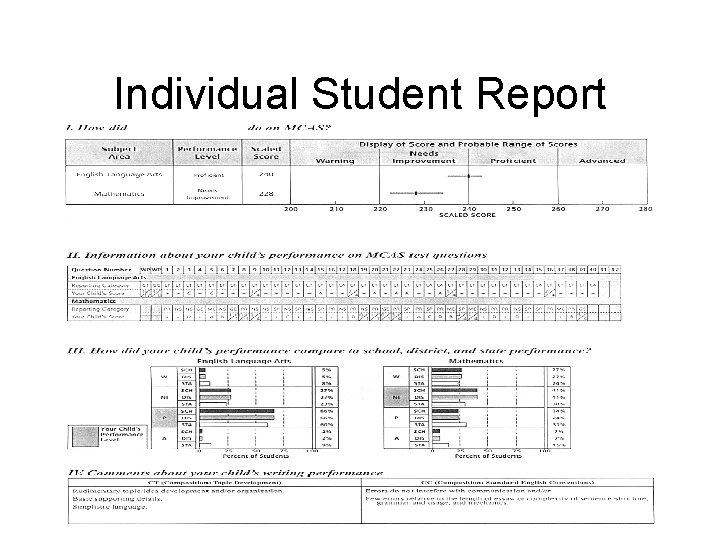 Individual Student Report 