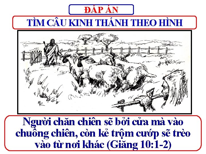 ĐÁP ÁN TÌM C U KINH THÁNH THEO HÌNH Người chăn chiên sẽ bởi