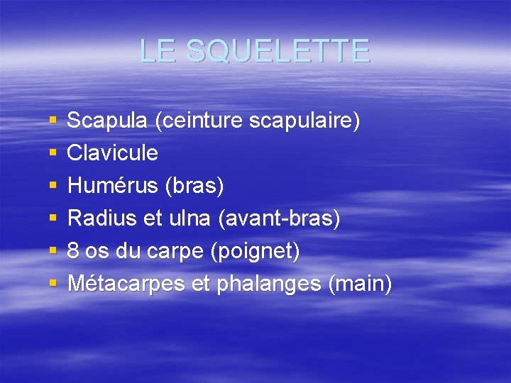 LE SQUELETTE § § § Scapula (ceinture scapulaire) Clavicule Humérus (bras) Radius et ulna