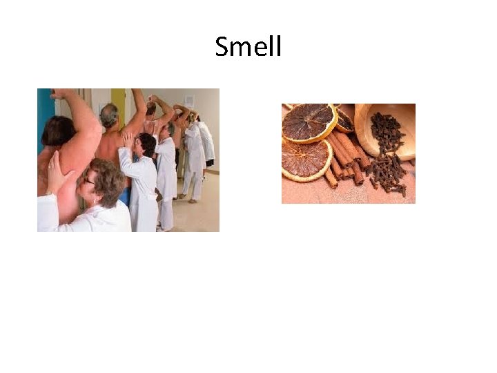 Smell 