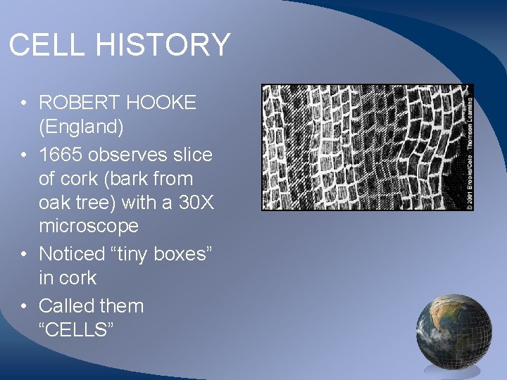 CELL HISTORY • ROBERT HOOKE (England) • 1665 observes slice of cork (bark from