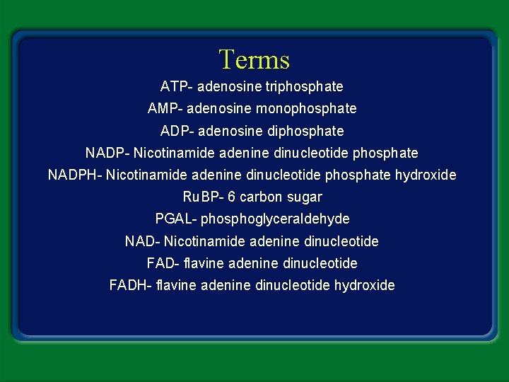 Terms ATP- adenosine triphosphate AMP- adenosine monophosphate ADP- adenosine diphosphate NADP- Nicotinamide adenine dinucleotide