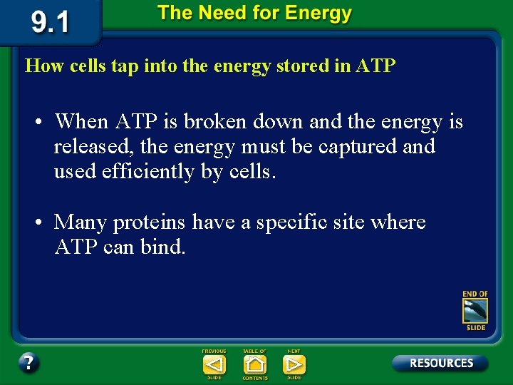 How cells tap into the energy stored in ATP • When ATP is broken