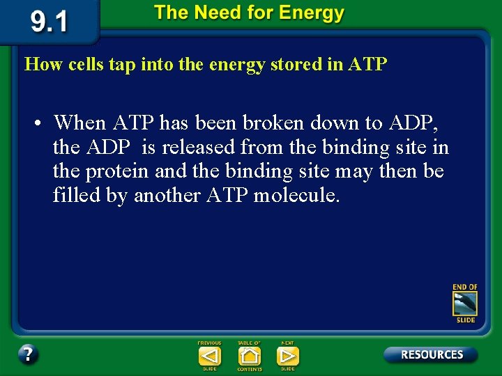 How cells tap into the energy stored in ATP • When ATP has been