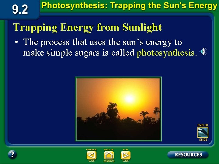 Trapping Energy from Sunlight • The process that uses the sun’s energy to make Trapping Energy from Sunlight • The process that uses the sun’s energy to make