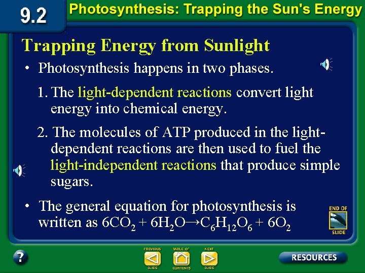 Trapping Energy from Sunlight • Photosynthesis happens in two phases. 1. The light-dependent reactions