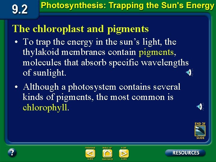 The chloroplast and pigments • To trap the energy in the sun’s light, the