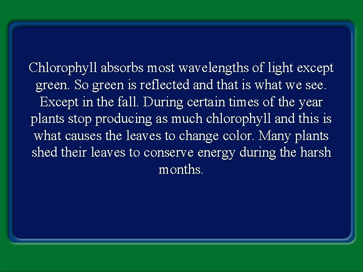 Chlorophyll absorbs most wavelengths of light except green. So green is reflected and that Chlorophyll absorbs most wavelengths of light except green. So green is reflected and that