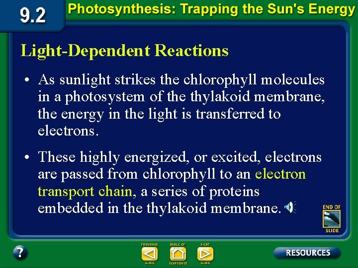 Light-Dependent Reactions • As sunlight strikes the chlorophyll molecules in a photosystem of the