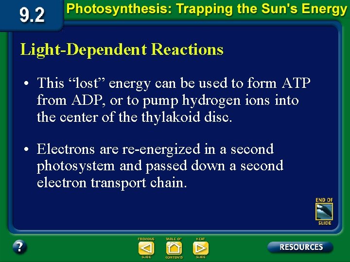 Light-Dependent Reactions • This “lost” energy can be used to form ATP from ADP, Light-Dependent Reactions • This “lost” energy can be used to form ATP from ADP,
