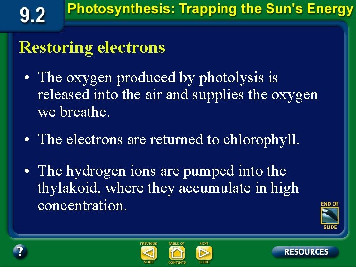 Restoring electrons • The oxygen produced by photolysis is released into the air and Restoring electrons • The oxygen produced by photolysis is released into the air and