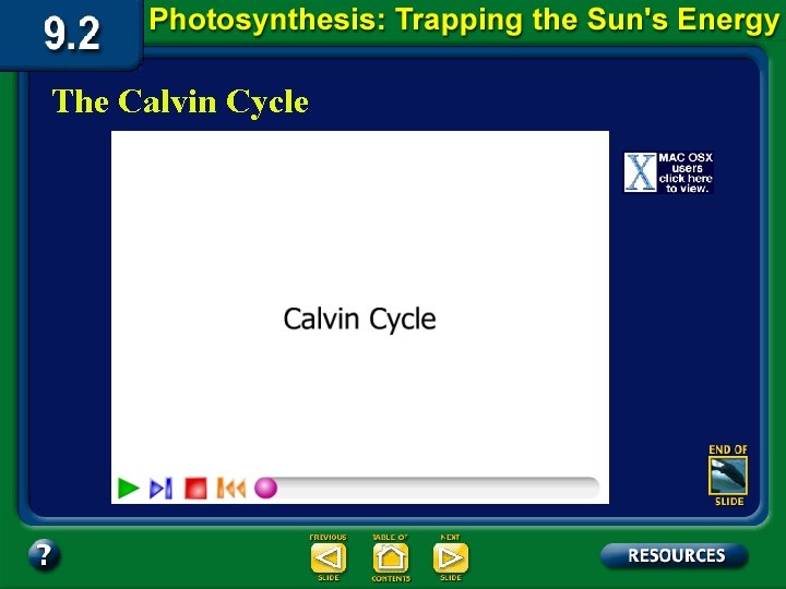 The Calvin Cycle 