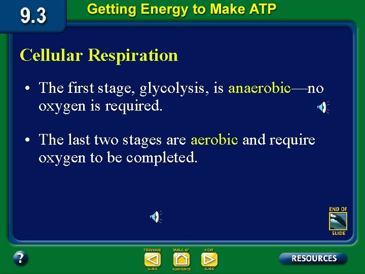 Cellular Respiration • The first stage, glycolysis, is anaerobic—no oxygen is required. • The