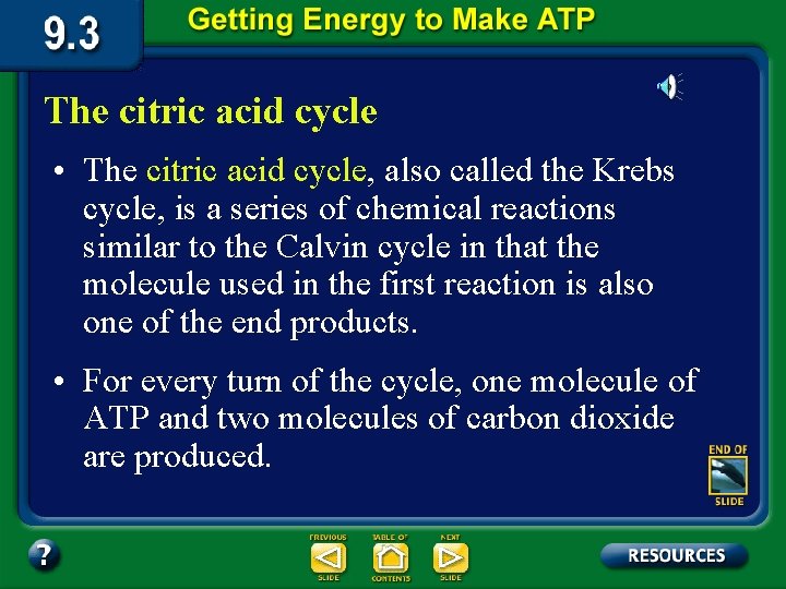 The citric acid cycle • The citric acid cycle, also called the Krebs cycle,