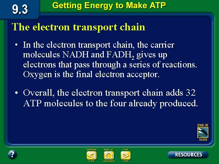 The electron transport chain • In the electron transport chain, the carrier molecules NADH