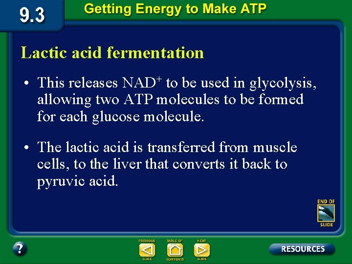 Lactic acid fermentation • This releases NAD+ to be used in glycolysis, allowing two