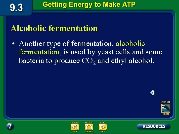 Alcoholic fermentation • Another type of fermentation, alcoholic fermentation, is used by yeast cells Alcoholic fermentation • Another type of fermentation, alcoholic fermentation, is used by yeast cells