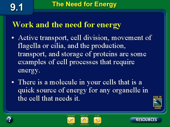 Work and the need for energy • Active transport, cell division, movement of flagella
