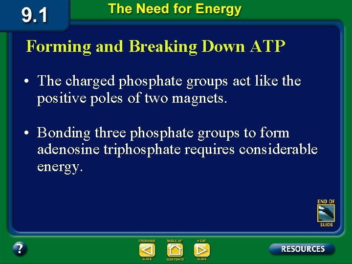 Forming and Breaking Down ATP • The charged phosphate groups act like the positive Forming and Breaking Down ATP • The charged phosphate groups act like the positive