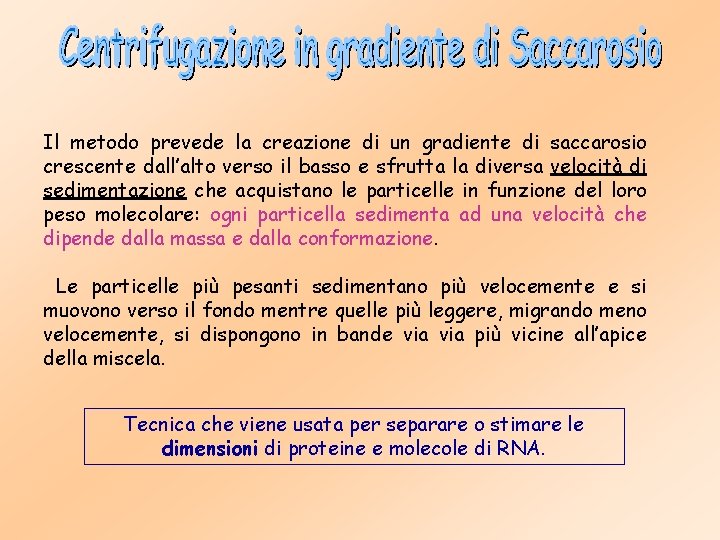 Il metodo prevede la creazione di un gradiente di saccarosio crescente dall’alto verso il