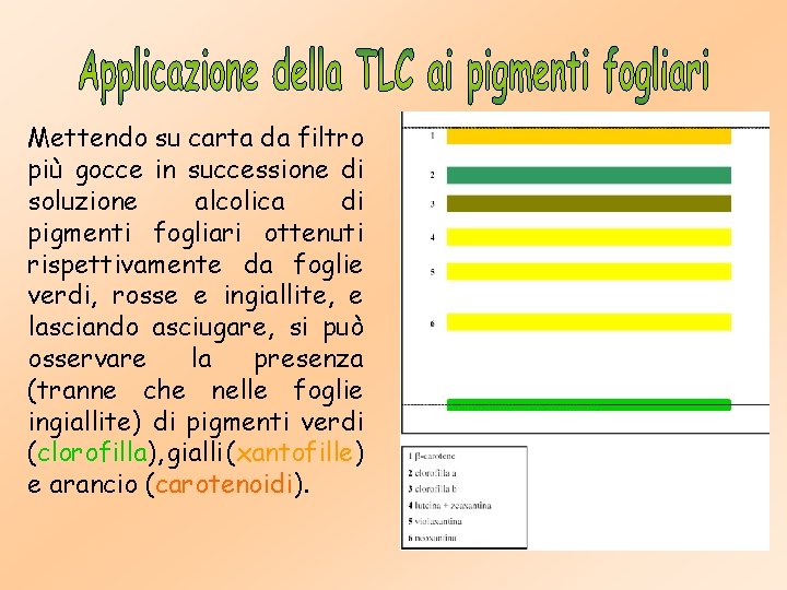 Mettendo su carta da filtro più gocce in successione di soluzione alcolica di pigmenti