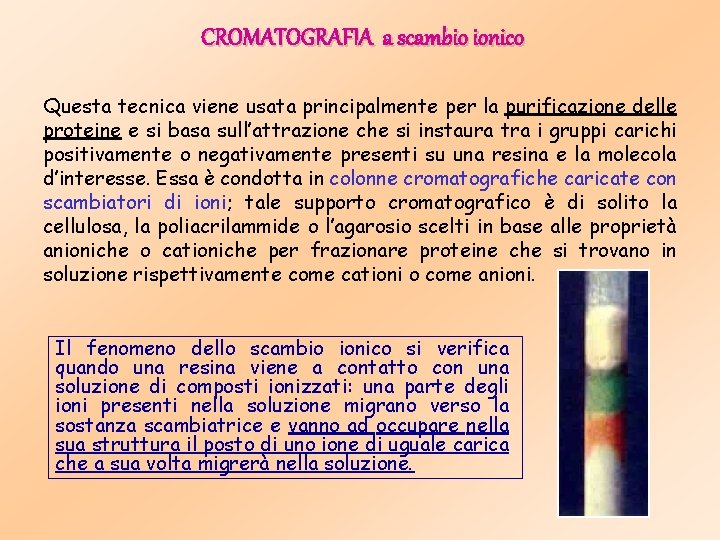 CROMATOGRAFIA a scambio ionico Questa tecnica viene usata principalmente per la purificazione delle proteine