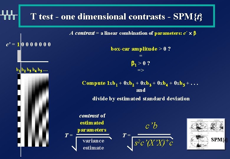 T test - one dimensional contrasts - SPM{t} A contrast = a linear combination T test - one dimensional contrasts - SPM{t} A contrast = a linear combination