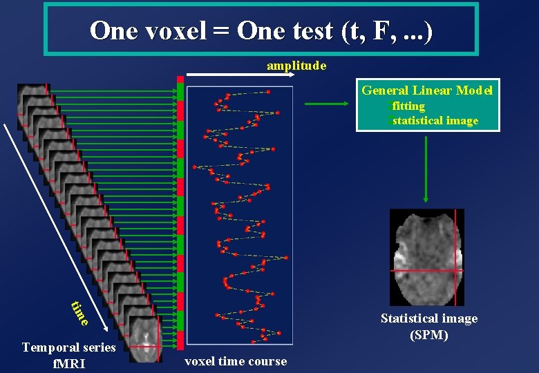 One voxel = One test (t, F, . . . ) amplitude General Linear One voxel = One test (t, F, . . . ) amplitude General Linear